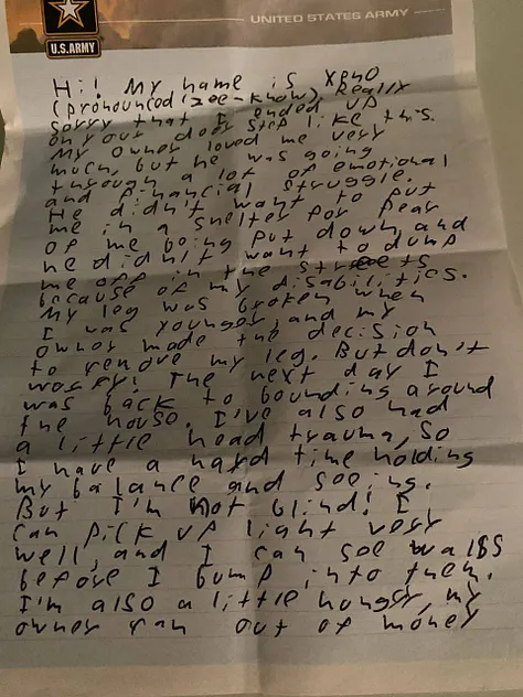 The dead cat and the note that was left on the doorstep.