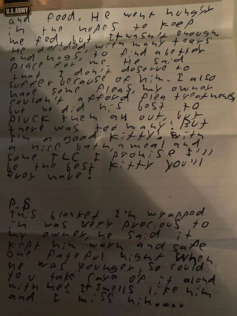 The dead cat and the note that was left on the doorstep.