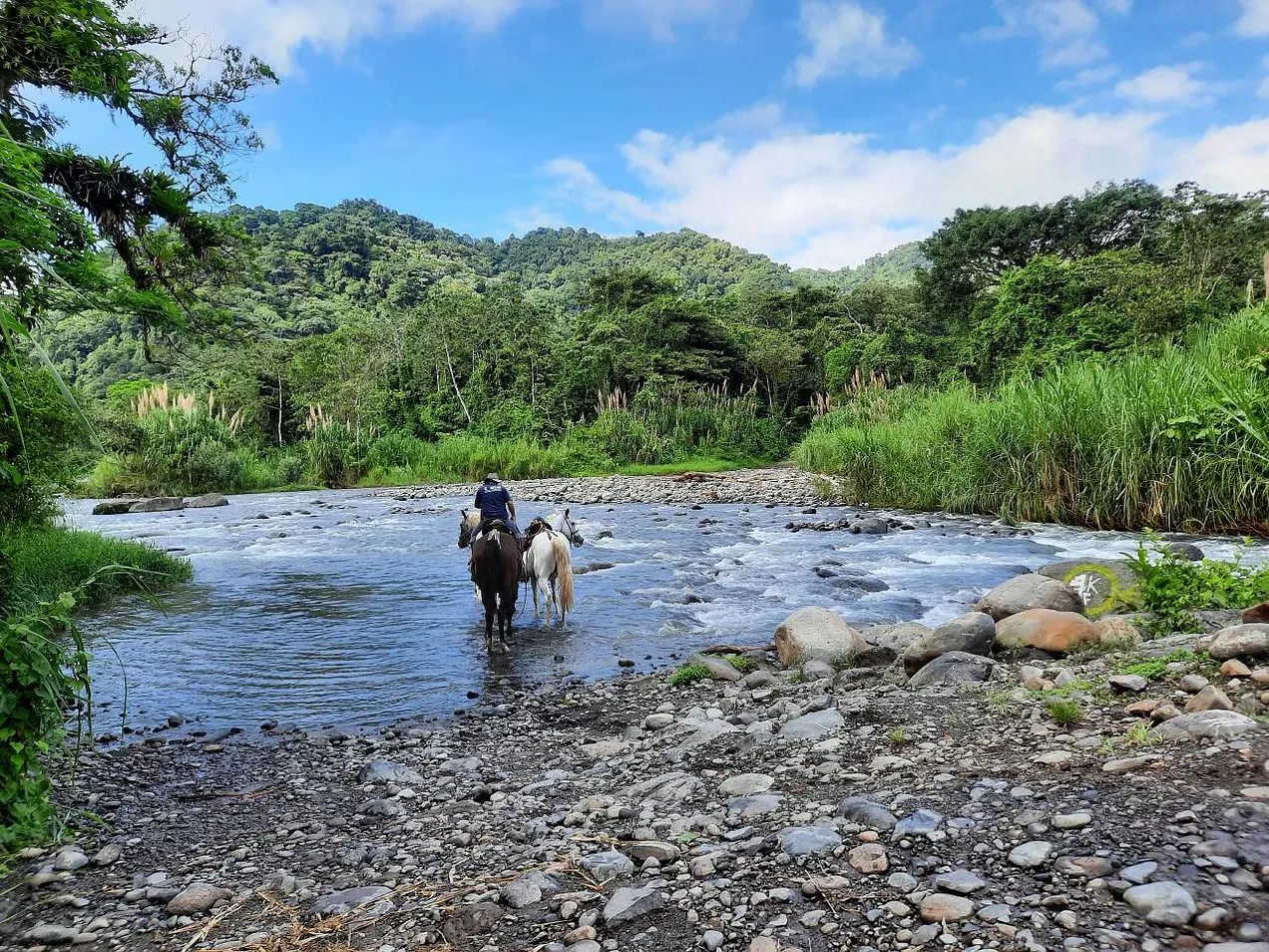 Far away from the Biden Regime’s reach, one can only hope, that this new place called home, can finally provide a safe haven.