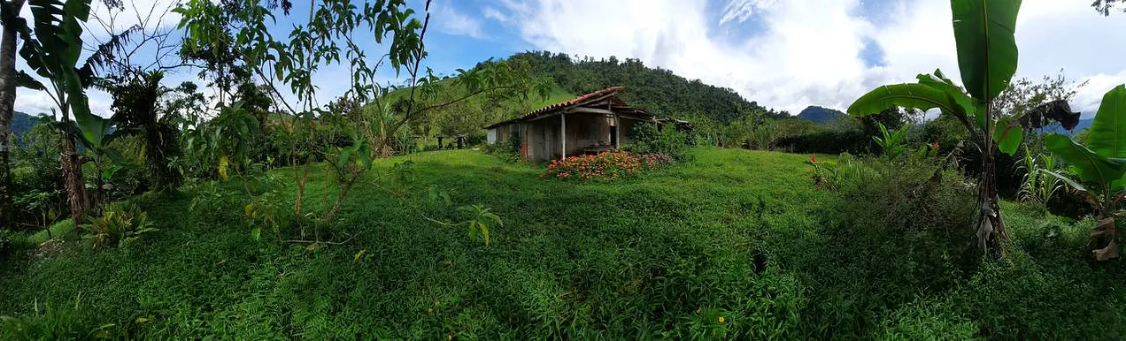 The lush green highlands of Costa Rica is now home to political refugee, Marc De Giovanni.